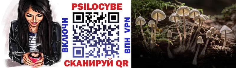 Галлюциногенные грибы GOLDEN TEACHER  Купить где  Димитровград 