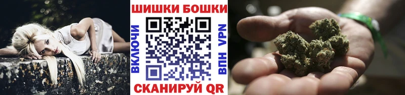 Купить закладки  Димитровград  Шишки марихуана сатива 